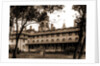 The Ponce De Leon from the orange grove, Jackson by Anonymous