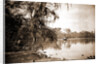 Monroe Landing, Rice Creek by Anonymous