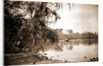 Monroe Landing, Rice Creek by Anonymous