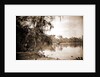 Monroe Landing, Rice Creek by Anonymous