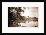 Monroe Landing, Rice Creek by Anonymous