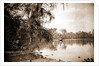 Monroe Landing, Rice Creek by Anonymous
