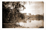 Monroe Landing, Rice Creek by Anonymous