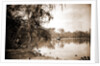 Monroe Landing, Rice Creek by Anonymous