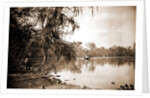 Monroe Landing, Rice Creek by Anonymous