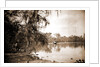 Monroe Landing, Rice Creek by Anonymous