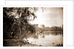 Monroe Landing, Rice Creek by Anonymous