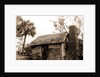 Old cabin at Turkey Creek, Log cabins by Anonymous