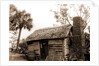 Old cabin at Turkey Creek, Log cabins by Anonymous