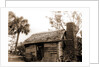Old cabin at Turkey Creek, Log cabins by Anonymous