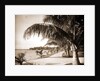 Palm Beach, Jackson by Anonymous