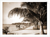 Palm Beach, Jackson by Anonymous