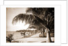 Palm Beach, Jackson by Anonymous