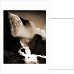 Rock of Ages by Anonymous