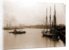 Savannah River from steamship wharf, Savannah by Anonymous
