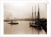 Savannah River from steamship wharf, Savannah by Anonymous