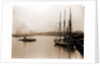 Savannah River from steamship wharf, Savannah by Anonymous