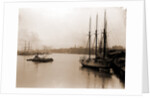 Savannah River from steamship wharf, Savannah by Anonymous