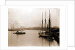 Savannah River from steamship wharf, Savannah by Anonymous