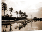 Miami River evening, Waterfronts by Anonymous