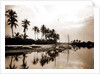 Miami River evening, Waterfronts by Anonymous