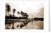 Miami River evening, Waterfronts by Anonymous