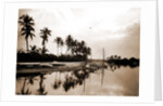 Miami River evening, Waterfronts by Anonymous