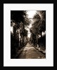 Palm Beach, Florida by Anonymous