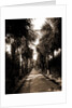 Palm Beach, Florida by Anonymous