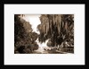 Indian River at Rockledge, Fla by Anonymous