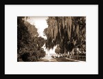Indian River at Rockledge, Fla by Anonymous