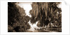 Indian River at Rockledge, Fla by Anonymous