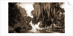 Indian River at Rockledge, Fla by Anonymous