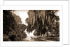 Indian River at Rockledge, Fla by Anonymous