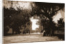 King Street, St. Augustine by Anonymous