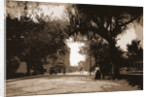 King Street, St. Augustine by Anonymous
