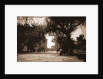 King Street, St. Augustine by Anonymous