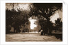 King Street, St. Augustine by Anonymous