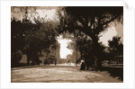 King Street, St. Augustine by Anonymous