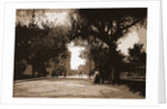 King Street, St. Augustine by Anonymous