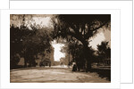 King Street, St. Augustine by Anonymous