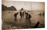 Bathing at Avalon, Santa Catalina Island by Anonymous