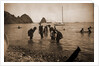 Bathing at Avalon, Santa Catalina Island by Anonymous