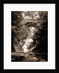 Cascadilla Gorge, Ithaca by Anonymous