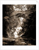 Cascadilla Gorge, Ithaca by Anonymous