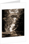 Cascadilla Gorge, Ithaca by Anonymous