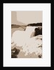 American Falls from Goat Island, Niagara by Anonymous