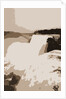 American Falls from Goat Island, Niagara by Anonymous