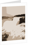 American Falls from Goat Island, Niagara by Anonymous