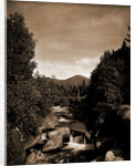 Mt. Pleasant from the Ammonoosuc, White Mountains by Anonymous